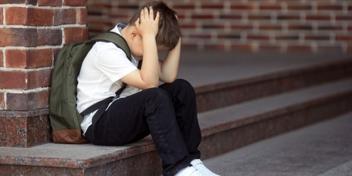 Prevenirea fenomenului de bullying în școli